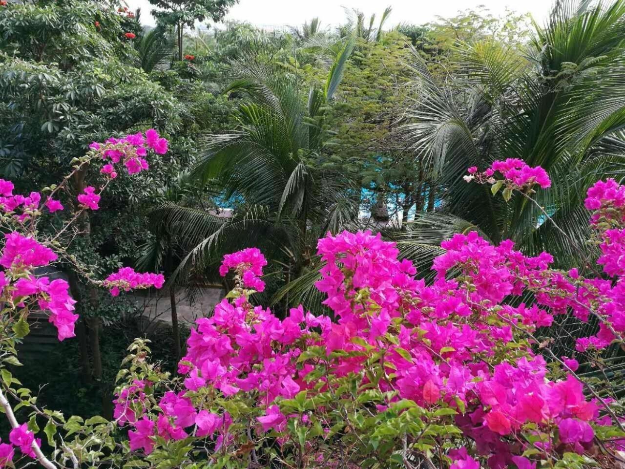Stony Brook Villa Jianguo Resort Санья Экстерьер фото